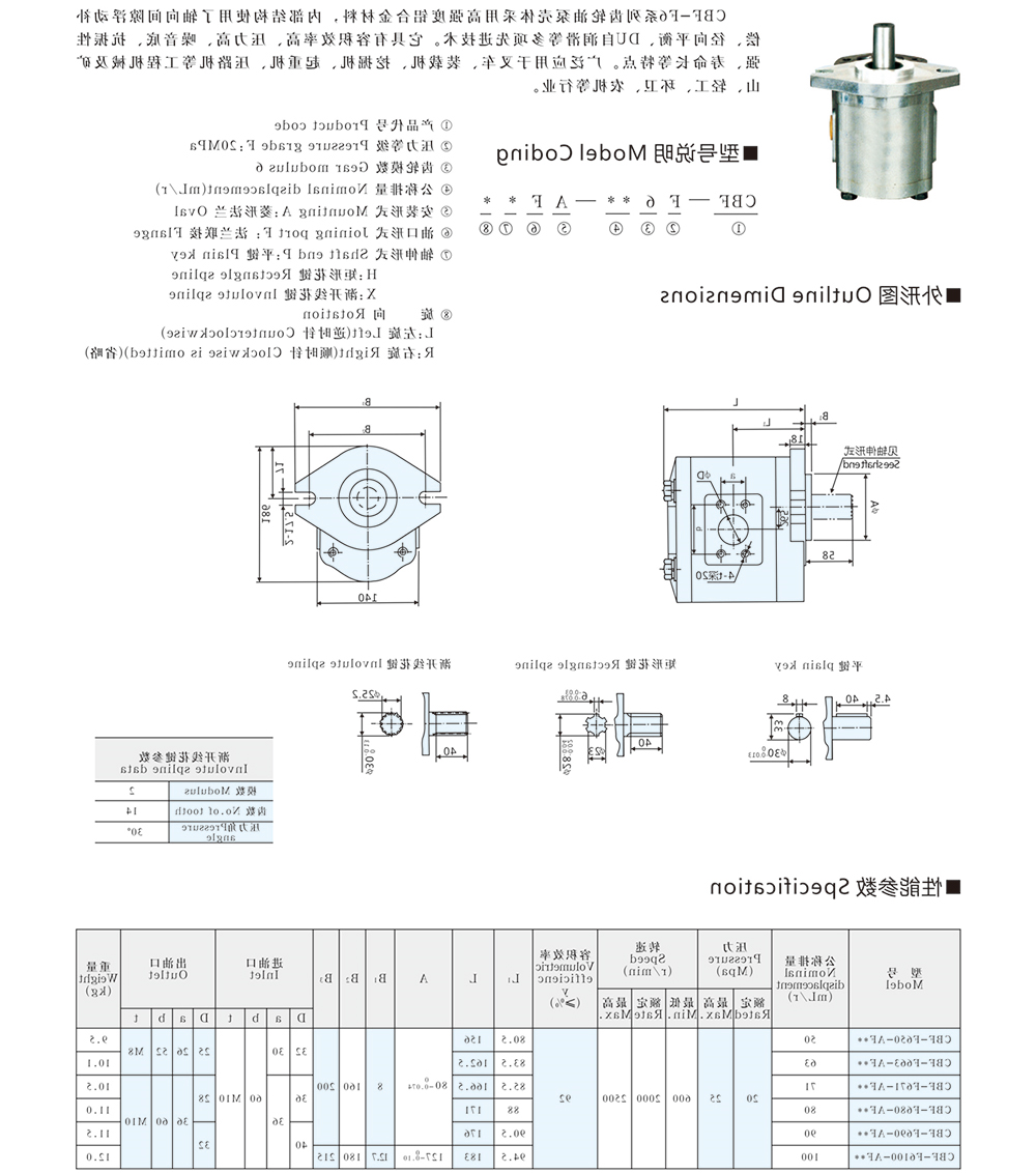 CBF-F6 系列齿轮泵